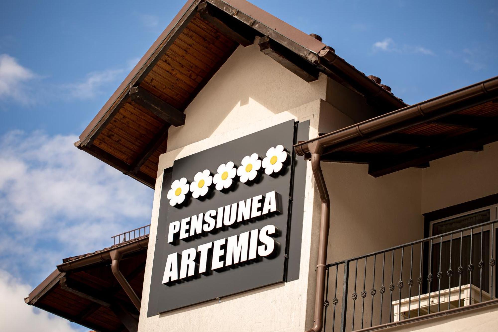 פויאנה ברשוב Artemis Villa מראה חיצוני תמונה